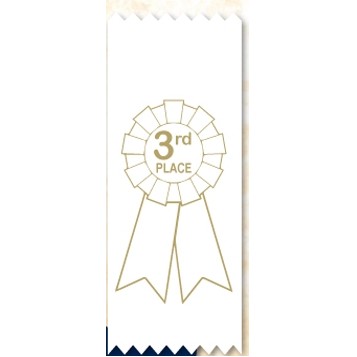 2"x 6" 3RD Place Stock Lapel Award Ribbon