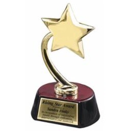 Gold Star Award w/Horse Shoe Base