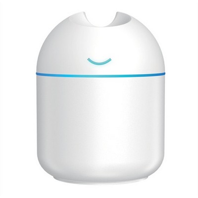 Mini Desktop Spray Humidifier