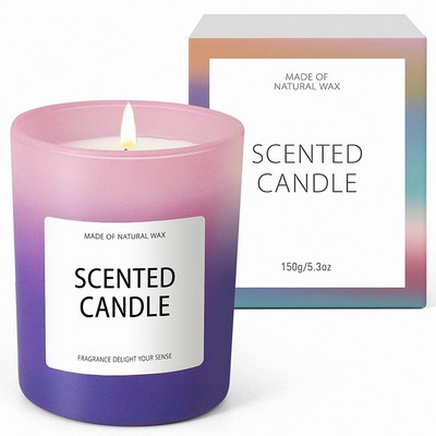 Scented Soy Gradient Frosted Tumbler Jar Candle