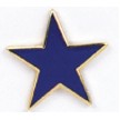 Blue Star Stock Casting Lapel Pin