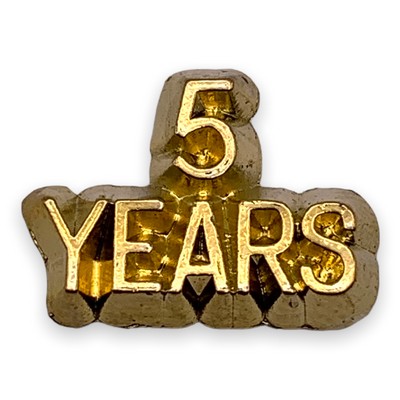 Stock 5 Years Lapel Pin