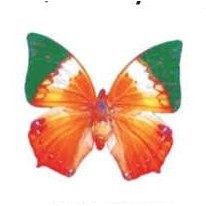 Orange & Green Butterfly Lapel Pin