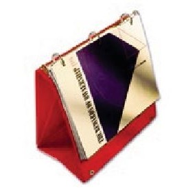 Platform Easel Vinyl Binder w/ 1" Capacity (11" x 8-1/2" Sheet Size)