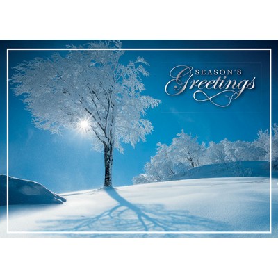 Sky Blue Holiday Cards