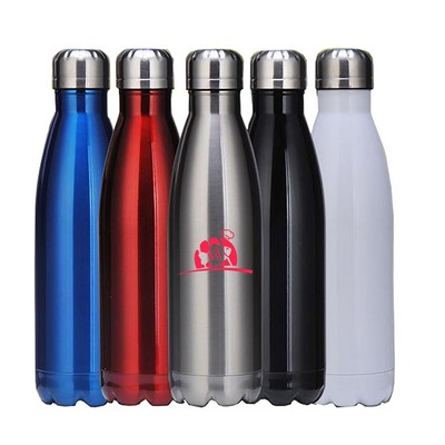 17 oz Stainless Steel Water Bottle