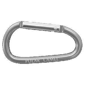 Gray Polar Camel Water Bottle Carabiner