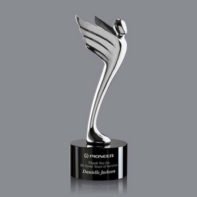 Meteor Award - Silver/Black 10¼"