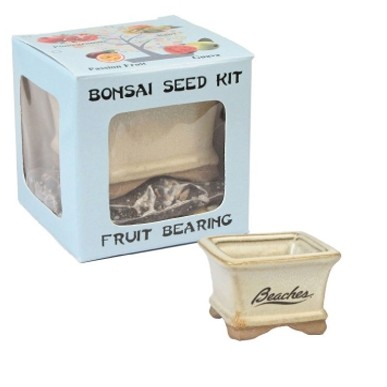 Juniper Bonsai Seed Kit