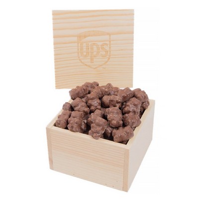 Choco Bears 1-Pack