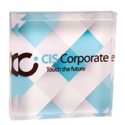 Sublimated Acrylic Recognition Award (3"x 3")