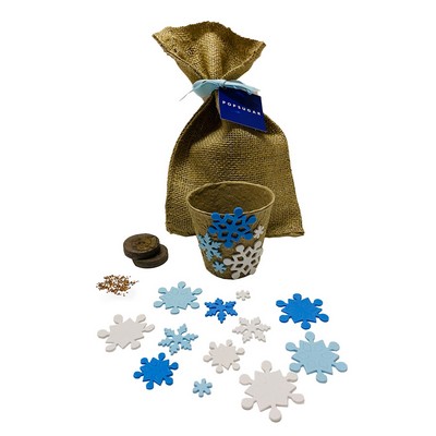 DIY Snowflake Gardening Kit