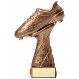 Medium Soccer Shoe Award