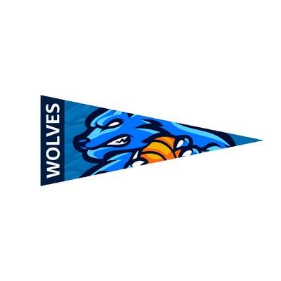 9" x 24" Full Color Felt Pennant