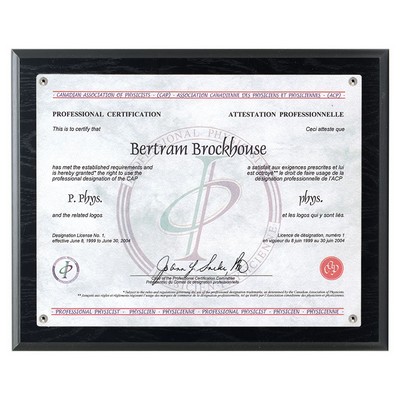 Certificate Holder (Recessed) - Black Ash, 10"x1"