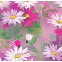 Daisy Dance Feminine Gift Wrap (833')