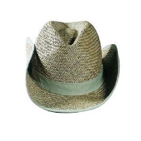 Raffia Straw Hat w/ Band