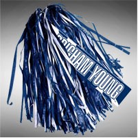 Economy Stick Rally Pom Pom 6 - 11"