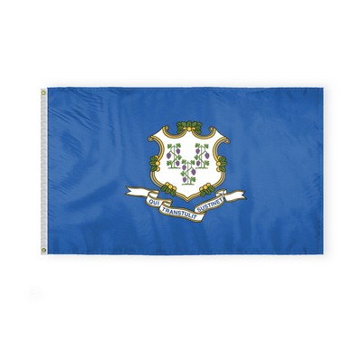 Connecticut Flags 3x5 foot