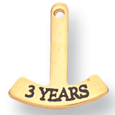 5/8" 1 Year Service Rocker Bar Award