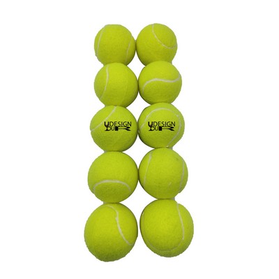 Pet Training Tennis Ball