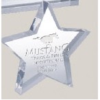 5" Star Paperweight