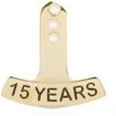 15 Year Stock Die Struck Pin