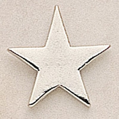 Flat Star Marken Design Cast Lapel Pin (Up to 3/4")