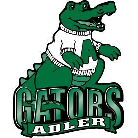 Car Magnet - Gator