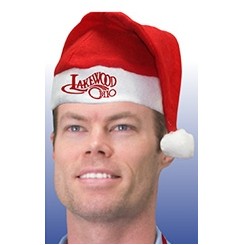 Domestic Santa Hat