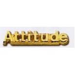 Stock Words and Phrases Lapel Pins (Attitude)