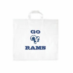 Stadium Game Day Bag (12" x 12" x 6")