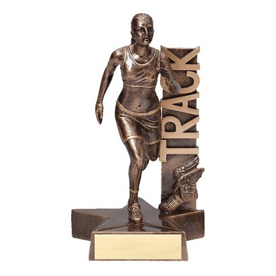 6.5" Male Track Billboard Resin Series Trophy