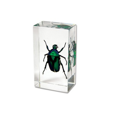 Lucite Piece with Real Green Rose Chafer Beetle, 2.9x0.16x0.94"