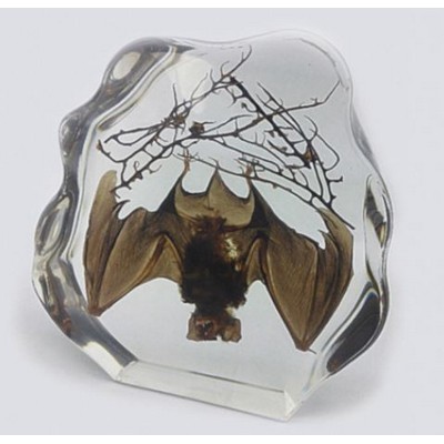 Lucite Paperweights with Real Bat, 7 x 6.6 x 1.4"