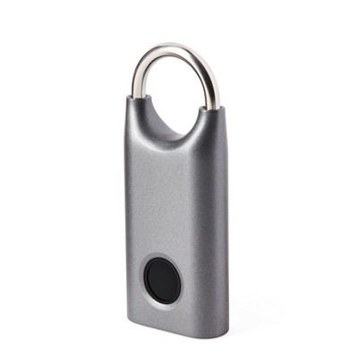 Lexon Biometric lock Silver