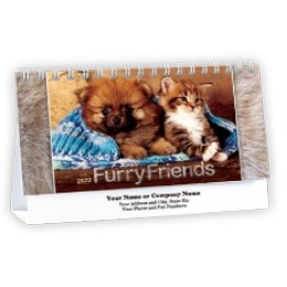 Furry Friends Desk Calendars (Cats & Dogs)