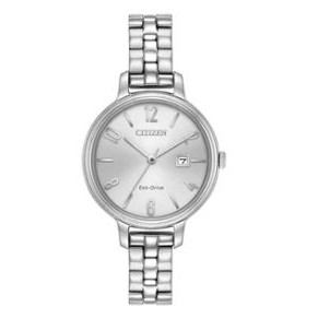 Citizen® Ladies' Chandler Eco-Drive® Stainless Steel Watch w/Silver-Tone Dial