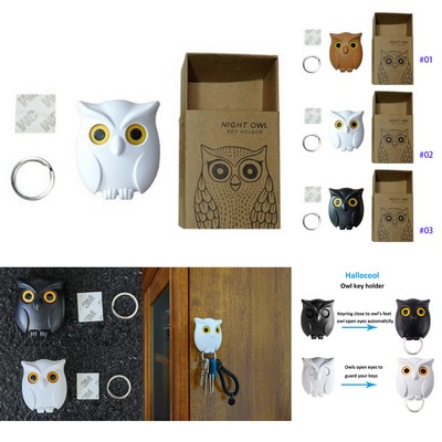 Cute Owl Wall Key Holder