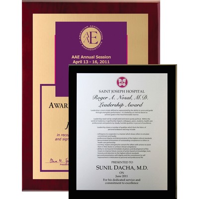 DigiColor Award w/ Piano Finish Plaques / 12"x15"