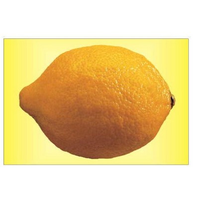 Lemon Rectangle Metal Photo Magnet (2"x3")