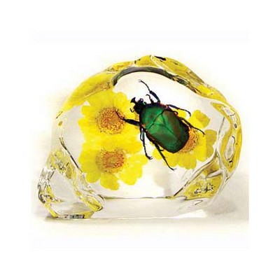 Lucite Paperweights with Real Green Rose Chafer Beetle, 2.91"X2.48"X 0.98"