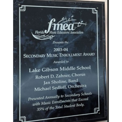 Economy Solid Black Plaque (9"x12")