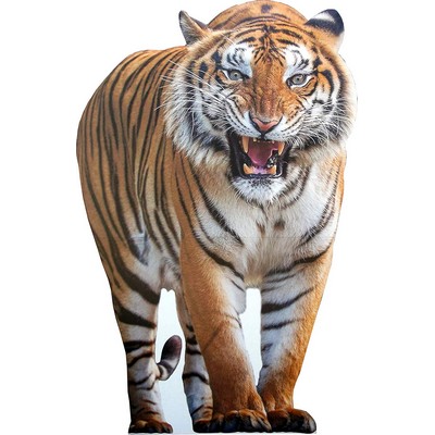 Tiger Animal Cardboard Cutout Stand Up| Standee Picture Poster Photo Print