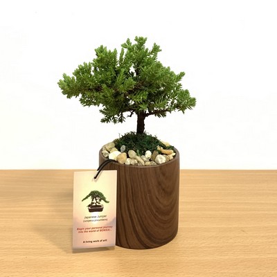 Woodgrain Round Vase with Bonsai Tree