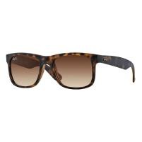 Ray-Ban Justin Classic Sunglasses