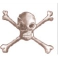 Skull & Crossbones (Brown) Stock Temporary Tattoo