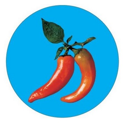 Chili Pepper Round Metal Photo Magnet (2 1/2")