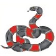 Red & Black Snake Stock Temporary Tattoo