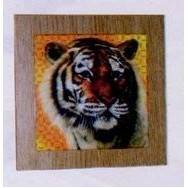 6"x8" Sublimated Coated Ceramic Photo Tile